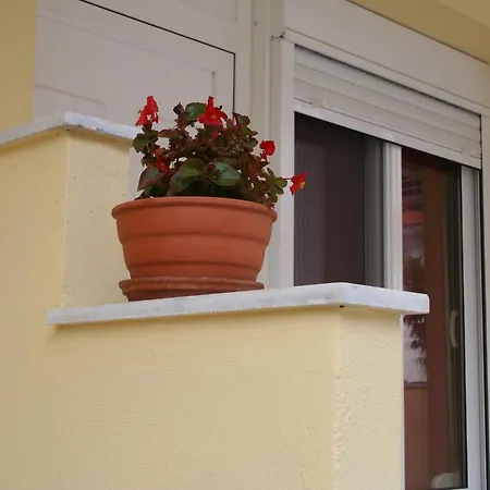 Alexandros アスプロヴァルタ