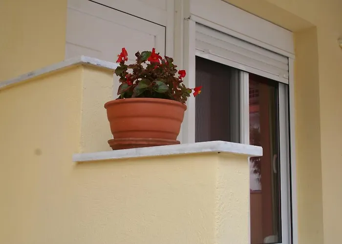 Alexandros 艾斯普罗瓦塔